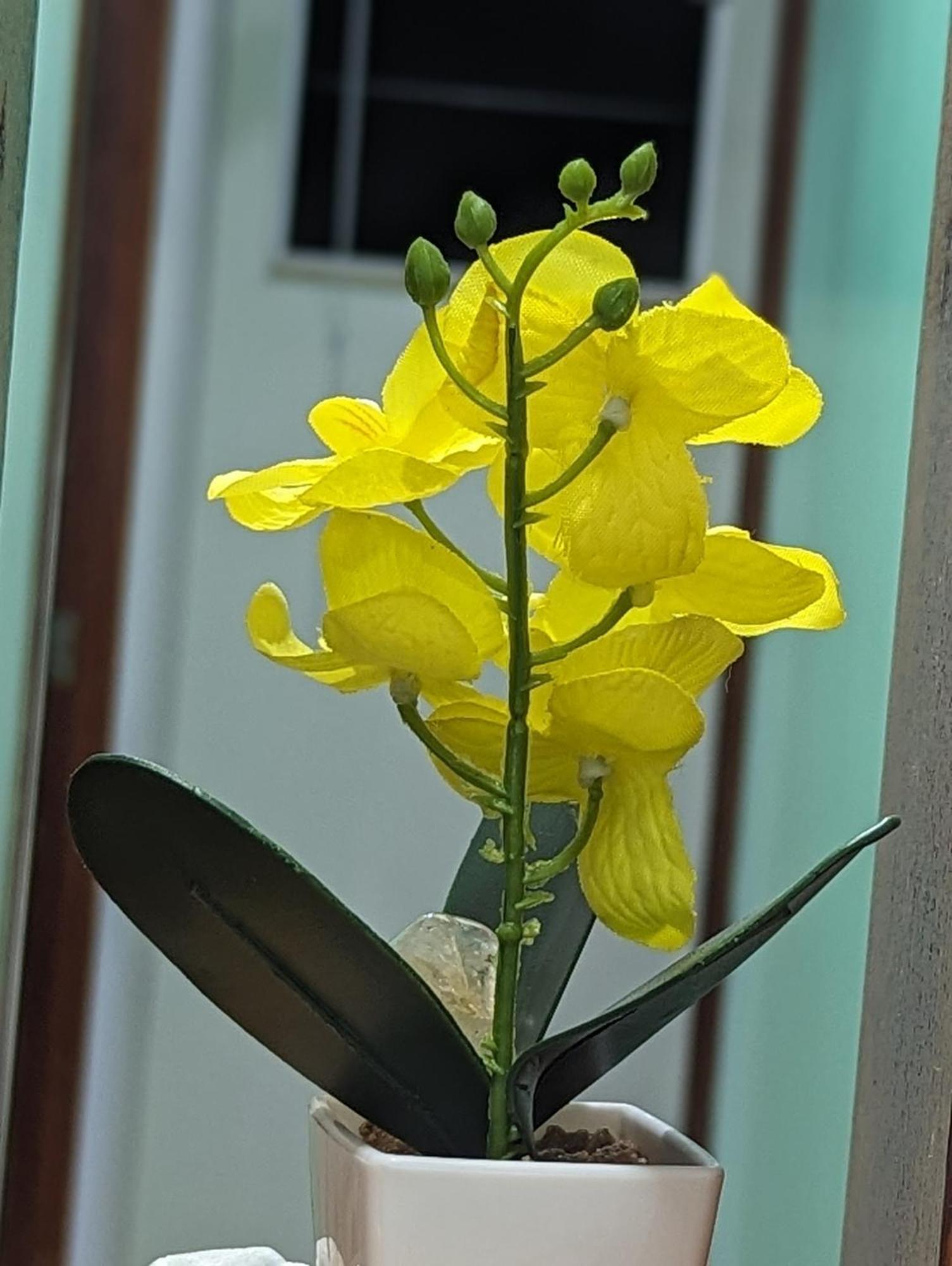 Bernardini House Villa กาโบฟรีโอ ภายนอก รูปภาพ